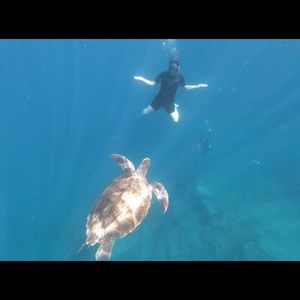 Meet your Posher, Jess